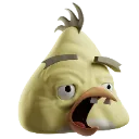 ChuckFeelsOldMan ChuckFeelsOldMan