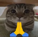 Somebodymadethiscatpray