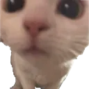 ugotgames Discord Emoji