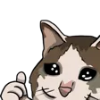 CatThumbsUp CatThumbsUp