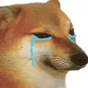 Cheemssad Discord Emoji