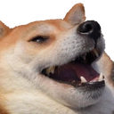 kek Discord emoji
