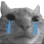 Cat Sad catsad Discord Emoji