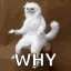 h_why