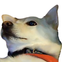 FloofWutGoinOnUpDere Discord emoji