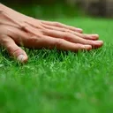 TouchGrass