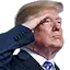 trumpsalute