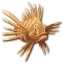 lionfish
