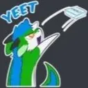 YEET