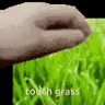 touchGrass