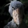 m_comocuando2 m_comocuando2