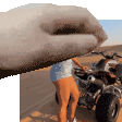 pet