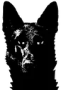 baleful