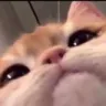 793134981877858335