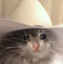 SADBOY