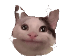 1632sparklecat