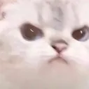 Hmphh