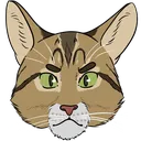 nzpenguin_tabby_cat Discord Emoji