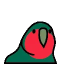 bangladeshParrot