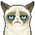 Grumpycat Grumpycat Discord Emoji