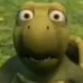 HUHturtle