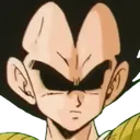 VegetaWtf VegetaWtf