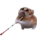 noveoo_FDB Discord emoji