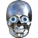 skull5