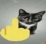 fu fu