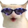 CatChest