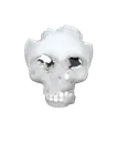 Skullissue