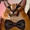 Fancy_Flop Fancy_Flop