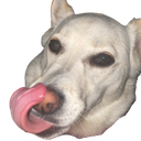 FloofMlem Discord emoji