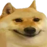 dogsmile