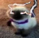 gatopelon_KILLYOURSELF