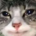 GG_Nibbi