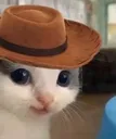 yeehehe yeehehe