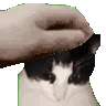 945906543415676968