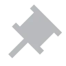 pinicon