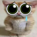 sadcat Discord Emoji