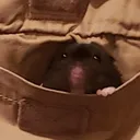 oreo_scared oreo_scared