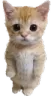 standing