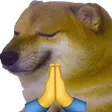 DogeBless