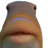 bruh