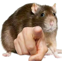 vos Discord emoji