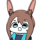 amiyapog