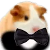 RT_CuyFino