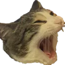screm