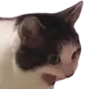 ahhhhhh