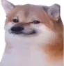 Bruh